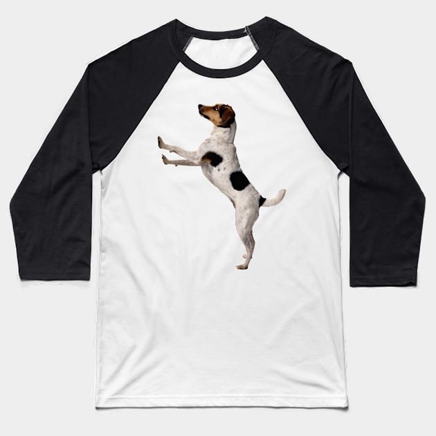 Standing Dog Baseball T-Shirt by MysticTimeline